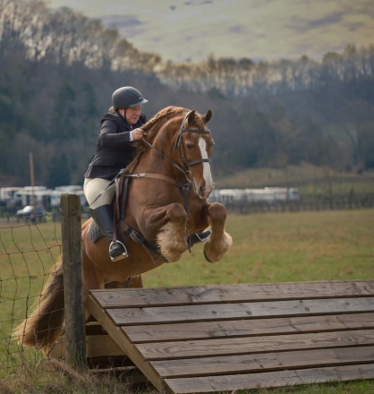 HorseID: 2277961 D. Ironman of RF - PhotoID: 1051747