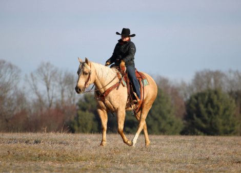 HorseID: 2280895 Cracker Jack - PhotoID: 1062980