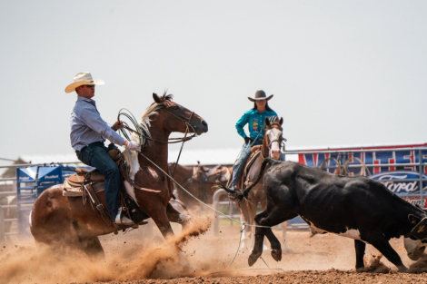 HorseID: 2280899 Spooncat Strait Smoke - PhotoID: 1055723