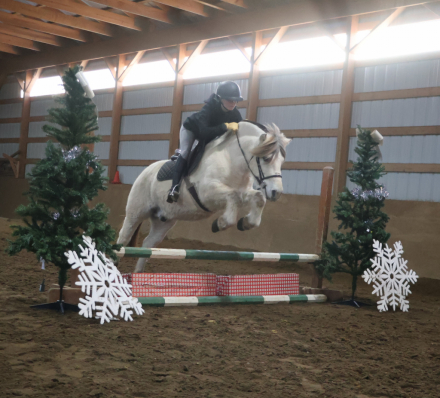 HorseID: 2280905 JE-NEA-AL - PhotoID: 1055694