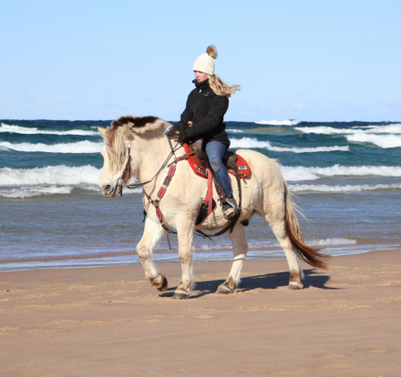 HorseID: 2280905 JE-NEA-AL - PhotoID: 1055695