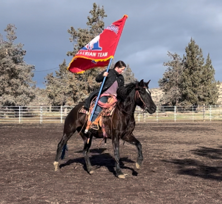 HorseID: 2283193 Sassy - PhotoID: 1091895