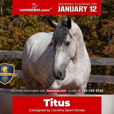 HorseID: 2287439 UCAN CALL ME MISTER - PhotoID: 1064618