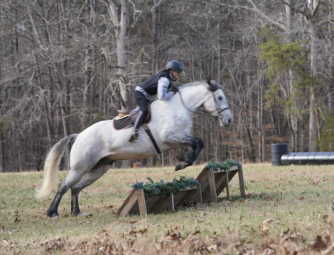 HorseID: 2287439 UCAN CALL ME MISTER - PhotoID: 1064621