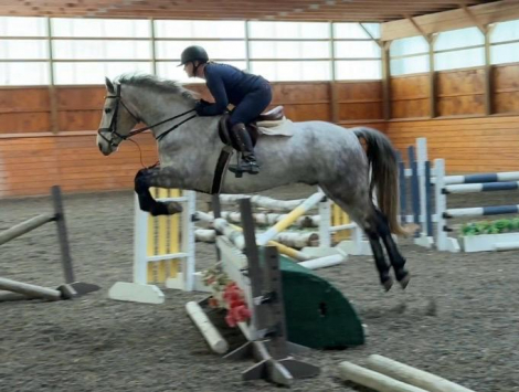 HorseID: 2297292 Bobby - PhotoID: 1092015