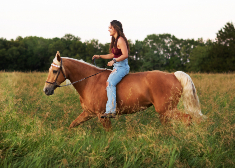 HorseID: 2298494 Grand's Jennifer Aniston - PhotoID: 1091406