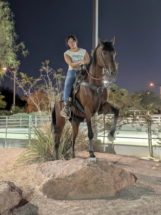 HorseID: 2300003 Jasmine - PhotoID: 1092375