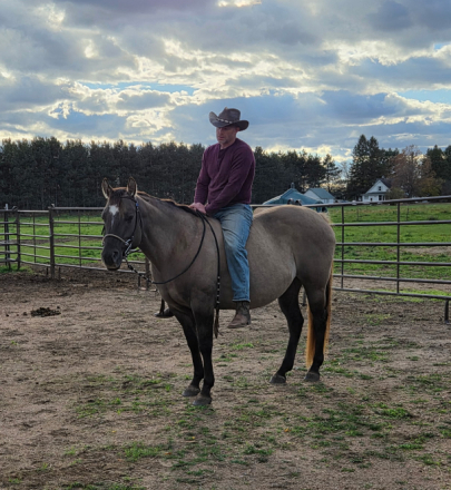 HorseID: 2301093 IM CHAMPAGNE CHARM - PhotoID: 1082823