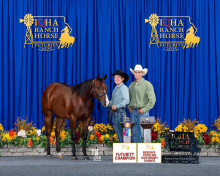 HorseID: 2302036 Joes My Hickory - PhotoID: 1084096