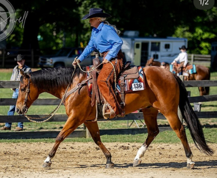 HorseID: 2302634 Certainly Hot N Waco - PhotoID: 1085263