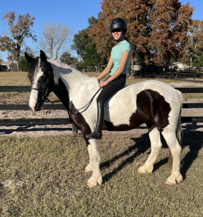 HorseID: 2303113 Mirage - PhotoID: 1085653