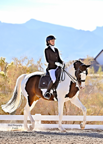 HorseID: 2304200 Penzance CF - PhotoID: 1092471