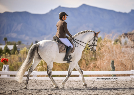 HorseID: 2304368 Santana - PhotoID: 1087311