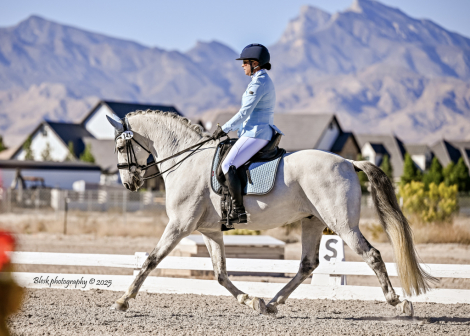 HorseID: 2304368 Santana - PhotoID: 1087312