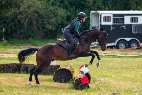 HorseID: 2304540 DMR Stans Drift Bar - PhotoID: 1087522