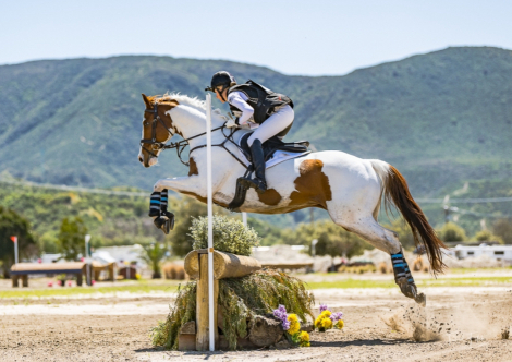 HorseID: 2305001 High Octane - PhotoID: 1091387