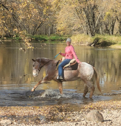 HorseID: 2306076 Trixie - PhotoID: 1089696