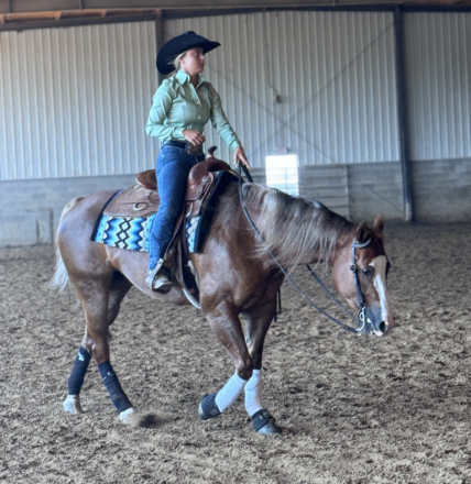 HorseID: 2306619 Custom Bang - PhotoID: 1091726