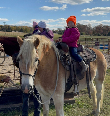 HorseID: 2306880 Artie - PhotoID: 1090774