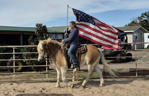 HorseID: 2306880 Artie - PhotoID: 1090775