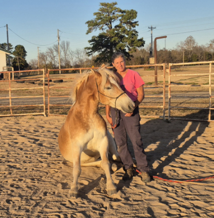 HorseID: 2306880 Artie - PhotoID: 1090778