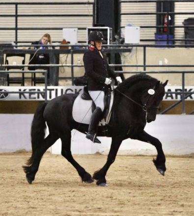HorseID: 2306917 Milan CFJ Star Sport AA - PhotoID: 1092094