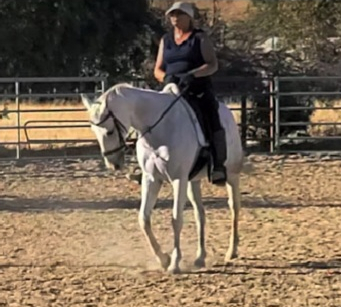 HorseID: 2307066 Kitty - PhotoID: 1091661