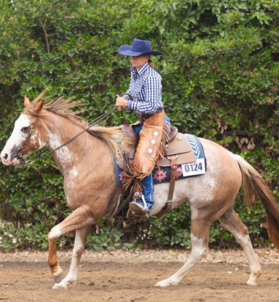 HorseID: 2307117 Wood u look at that - PhotoID: 1091839