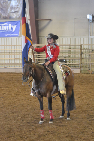 HorseID: 2307211 My Revolutionary Way - PhotoID: 1091528