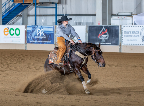 HorseID: 2307389 HX Dogg Fyght - PhotoID: 1091490