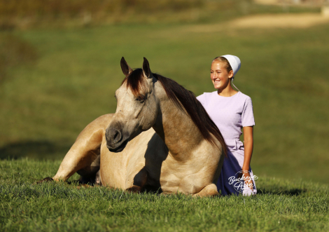 HorseID: 2307405 Buckeyes Loyal - PhotoID: 1091343