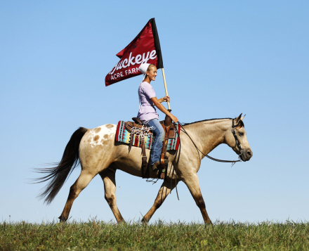 HorseID: 2307405 Buckeyes Loyal - PhotoID: 1091344