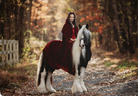 HorseID: 2307436 Watson's Spirit - PhotoID: 1091378