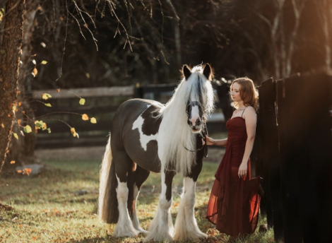 HorseID: 2307436 Watson's Spirit - PhotoID: 1091381