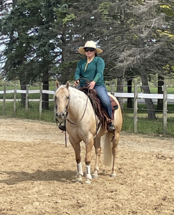 HorseID: 2307471 Top Sail Rocky Whiz - PhotoID: 1091421