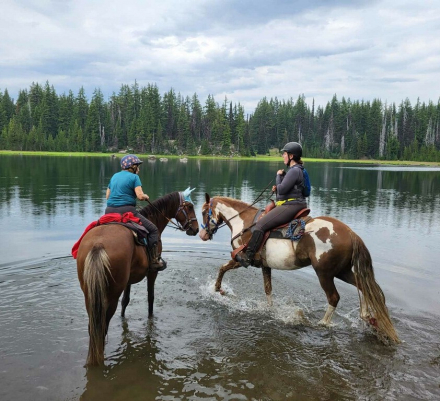 HorseID: 2307506 Ricky Many Spots - PhotoID: 1091484