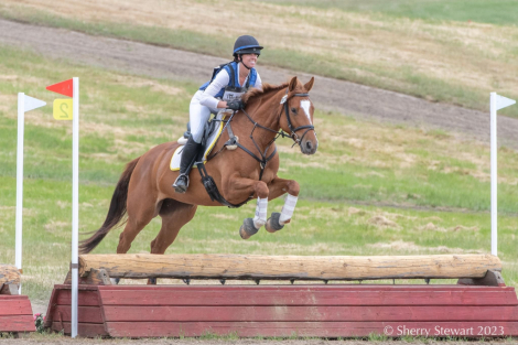 HorseID: 2307553 Kismet Michelada - PhotoID: 1091500