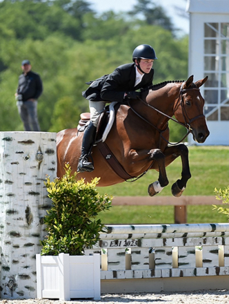 HorseID: 2307556 SES Elekato - PhotoID: 1091502