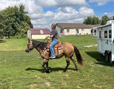 HorseID: 2307557 Chisums Tyree Poco - PhotoID: 1091504