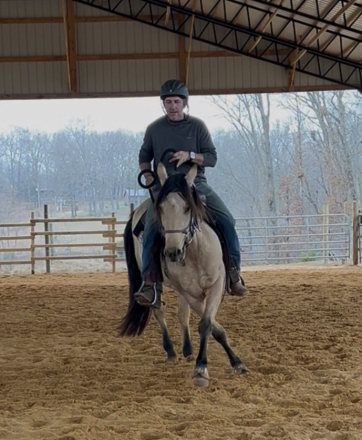 HorseID: 2307559 SBR Peridot Gold - PhotoID: 1091511