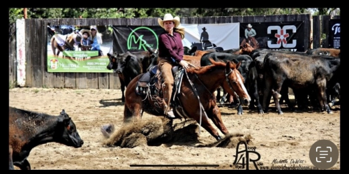 HorseID: 2307561 Dont Lose Hope - PhotoID: 1091516