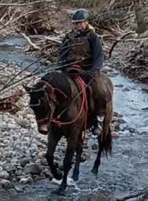 HorseID: 2307563 Rock Creek Angel - PhotoID: 1091517