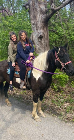 HorseID: 2307580 The Price of Diesel - PhotoID: 1091550