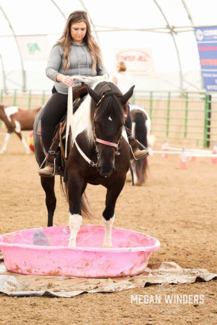 HorseID: 2307580 The Price of Diesel - PhotoID: 1091551