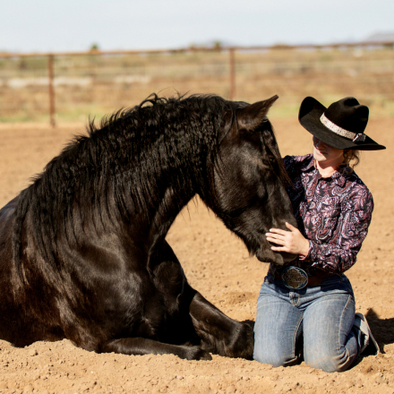 HorseID: 2307590 Courage Lamont Flynn-Ryder - PhotoID: 1091836