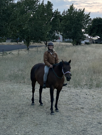 HorseID: 2307603 Simpson Ranch Dusty - PhotoID: 1091556