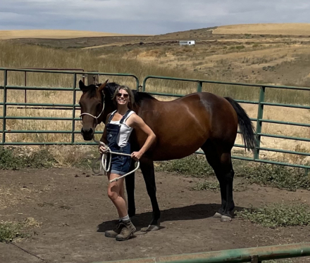 HorseID: 2307603 Simpson Ranch Dusty - PhotoID: 1091557