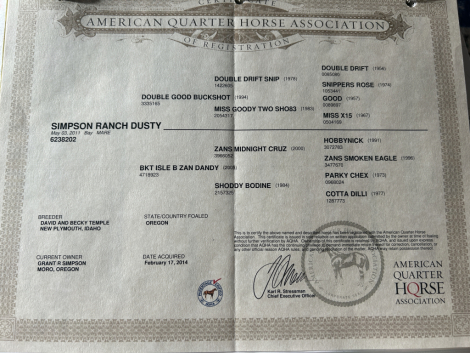 HorseID: 2307603 Simpson Ranch Dusty - PhotoID: 1091558