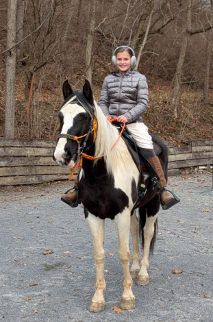 HorseID: 2307604 Hondo - PhotoID: 1091559