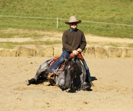 HorseID: 2307642 Tokyo - PhotoID: 1091595